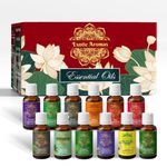 Exotic Aromas Essential Oil Lavender Rose Rosemary Orange Jasmine YlangYlang Tea Tree Eucalyptus Lemongrass Peppermint Lemon Citronella Pack of 12