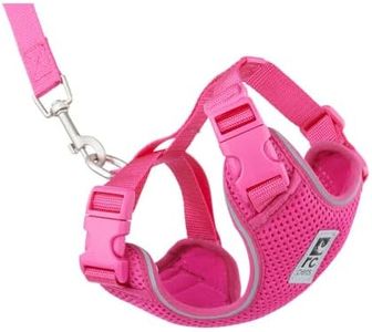 RC Pets Adventure Kitty Harness, Cat Walking Harness, Medium, Raspberry