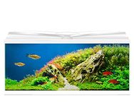 Ciano Aqua 80 LED Tropical Glass Aquarium