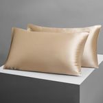 Candoury Satin Silk Pillowcase for Hair and Skin, King Size Set of 2 Pillow Cases, Soft Silky Pillow Covers 2 Pack with Envelope Closure (20x40,Champagne )