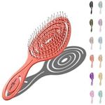Chiara Ambra Detangling Hair Brush for Women & Men - Does not Pull, Removes Tangles, Brushes for Straight, Curly & Wet Hair - Detangle Brush - Unique Spiral Hairbrush, Peach
