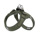 Leather Small Dog Harness