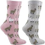 WHD Llama Socks 2-Pack Fuzzy Llamas (Pink Heather/Ash Heather, Medium)