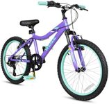 WEIZE 20 Inch Kid Mountain Bike,Kid