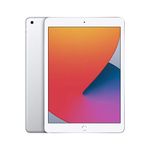 2020 Apple iPad (10.2-inch, Wi-Fi, 32GB) Silver (Renewed)