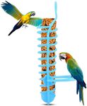 Liyquint Parrots Feeder Basket,Parrot Feeder,Toys Millet Holder Bird Spray Bird Holder Parakeet Parrot Feeding Rack Birdcage Bird Rack for Birds (Blue, 1pcs)