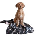 Dock & Bay Pet Towel - Super Absorbent & Quick Drying Dog Towels with Bag - 100% Recycled - Walkies in the Park, Medium (90x50cm, 35x19)