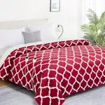 Homemate Heated Blanket Electric Queen Size - 84“x90“ Heating Blanket with 10 Fast Heat Levels 8 Hours Auto Off Ultra Soft Cozy Flannel Over-Heated Protection ETL Certification Keep Warming in Home