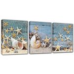 Starfish Picture Beach wall decor - Blue Seashell Canvas Wall Art for Bedroom Bathroom Living Room Decoration 3 Pieces seascape Modern Nautical Print Woodern Framed Painting Ready to Hang 12x16 inch