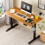 Lukzer Electric Height Adjustable Desk with USB & Type-C Ergonomic Work from Home Study Table Digital Display Advance Memory Preset Sit Stand Table | 3 Years Warranty (EST-003/UC-Black & Oak Brown)