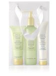 Mary Kay Hand Set - Satin Hands - White and Citrus Tea