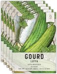 Seed Needs Luffa Seeds for Planting - Non-GMO, Heirloom & Untreated - Organically Grow Loofah Sponges Outdoors in a Home Grown Garden (5 Packs)