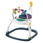 Fisher-Price Baby Bouncer SpaceSaver Jumperoo MusiCal Activity Center with Lights Sounds & Developmental Toys, Astro Kitty