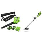 Greenworks 40 V Lawn Trimmer & Scythe GD40BC and Leaf Blower GD40BV (Li-Ion 40 V 40 cm/25 cm Cutting Width 5300 RPM 280 km/h with Speed Control Incl. 2x2 Ah Battery and Charger)