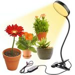 Sun Lamp For Plants