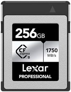 Lexar 256G