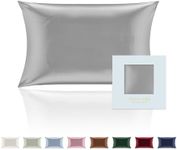 Andaz Silks 100% Mulberry Silk Pillowcase for Hair & Skin - 19 Momme Luxury Hypoallergenic Both Side Silk (Queen Size, 50x75cm) (Silver)