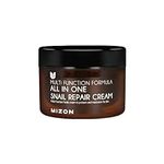 MIZON All In One Snail Repair Cream, Day and Night Face Moisturizer with Snail Mucin Extract, Recovery Cream, Korean Skincare, Wrinkle & Blemish Care (4.06 fl oz)