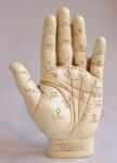 LARGE Palmistry Hand Ornament & Palm Reading Instructional Booklet