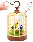 Zest 4 Toyz Singing Moving Chirping Beautiful Bird Pet Toy in Cage, Hanging Cage with Music Singing Moving Chirping for Kids for Home Decor/Living Room/Garden (Multicolour)