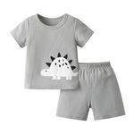 Baby Boy Summer Outfit Infant Toddler Solid Color Short Sleeve Dinosaur Print T-Shirt Top Shorts 2pcs Clothing Set Grey 6-9 Months