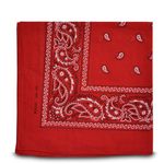 Shukan Fashions - Paisley Style Bandana Red Biker Cow Boy Cow Girl Neck Scarf Neck Wrist Wrap