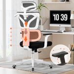 Razzor Office Chair Ergonomic Computer Desk Chair Upgrade Adjustable Lumbar Support, Breathable Mesh Gaming Chair with Adjustable 3D Arms and Headrest Swivel High Back Executive Chairs,RZ999-White