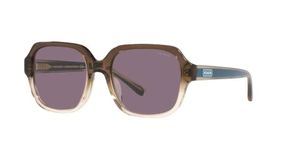 COACH C7989 CH 8335U Transparent Brown/Violet 53/18/140 women Sunglasses