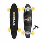 JASPO Rich Culture (28 x 8 inches) Cruiser Board 7 Layer Wooden (Canadian Maple) Concave Shape Fully Assembled Skateboard for Kids/Boys/Girls/Youth/Adult (Rich Culture)