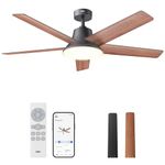 DREO Ceiling Fans with Lights, 52 Inch, 6 Speeds, 5 Color Tones Dimmable LED, Quiet Reversible DC Motor, Remote, 8H Timer, Black Ceiling Fan for Bedroom, Living Room, Dining Room, Easy to Install