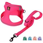 BELLA & PAL Puppy Harness with Leash Set, Dog Harness for Small Dogs No Pull, Dog Leash for Small Dogs, Step in Harness for Extra Small Dogs, Hot Pink Harness, XS