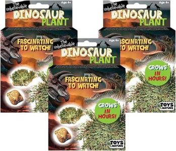 TOYS BY NATURE Grows in One Day Plant Seeds 3-Pack, DIY Indoor Succulents and Live Plants for Home or Garden Planting, Dinosaur Plant