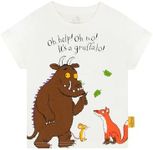 The Gruffalo T Shirt | Short Sleeve Boys T-Shirt | World Book Day Tshirt | White 7-8 Years
