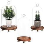 Belle Vous 3 Pack of Glass Dome Cloche Bell Jars with Brown Wooden Bases - Small, Medium & Large Sizes - Clear Decorative Tabletop Display Cases with Stands for Fairy Lights, Centrepieces and Antiques