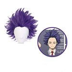 AICWDIVA My Hero Academia Shinsou Hitoshi Cosplay Wigs Short Purple Synthetic Hair Halloween Costume Party Wigs (Shinsou Hitoshi)