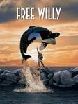 Free Willy