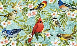 Toland Home Garden 800046 Soft Step Designer Mat, Standard, Bird Collage, Multicolor