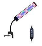 JC&P Full Spectrum Aquarium LED Adjustable Clip on Light with Red, Green, Blue and White LEDs Aquatic Fish Tank Light with Dimmer, Timer, Color Modes and Control (10")