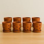 The Handicraftian Exclusive Premium Orchid Pot Hexane Shaped|Includes Free Orchid Pot| Excellent Drainage and Aeration Orchid Types Hexane Orchid Planter Small 4.5 Inch (8, Small)