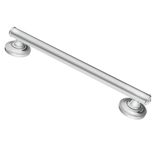Moen LR8724D1GCH 24-Inch Home Care Grab Bar (Stainless)