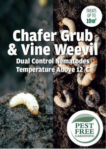 Pest Free Gardening Vine Weevil & Chafer Grub DUAL Control Nematodes Natural Organic Weevil Killer | 12+ degrees | (10sqm)