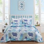 Dinjoy Coastal Quilt Set King Size, Blue Ocean Beach Themed Bedding Set Coral Seashell Conch Starfish Pattern Microfiber Lightweight Summer Bedspread Coverlet Bed Set All Season (104x90 Inch)