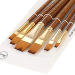 Silithus Paint Brushes 6 Pieces Set, Professional Fine Tip Paint Brush Set Round Pointed Tip Nylon Hair artist acrylic brush for Acrylic Watercolor Oil Painting (Flat)