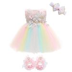 Weileenice Baby Girls Flower Dress Peach Pink Headband Shoes Embroidery Beading Toddler Party Dresses Rainbow Infant Christening Outfit 12M/ 12-15 Lace Tulle Babies Birthday Pageant Wedding Gowns Gala