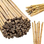 FunkyBuys 2FT 3FT 4FT 5FT 6FT 7FT 8FT Bamboo Garden Canes Strong Thick Quality Support Green Canes