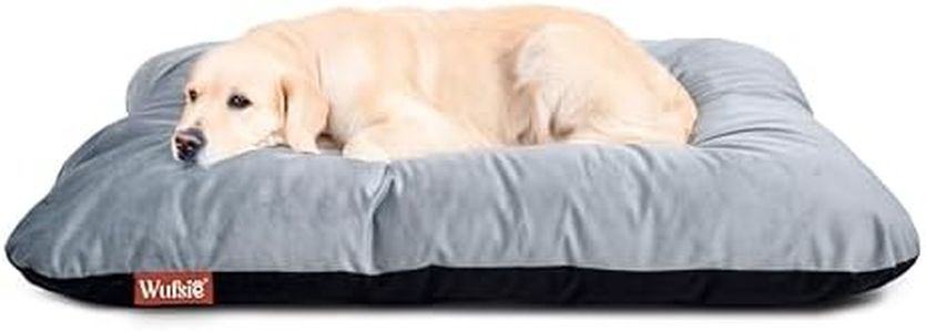 WUFSIE Dog