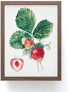 Society6 A