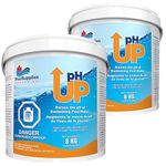 Pack of 2 pH Up (8 Kg) by Pool Supplies Canada