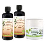 Biotraxx 12-Day Intestinal Cleanse Guard for Humans with Wormwood, Black Walnut, Cloves Made to The Specification of Dr. Hulda Clark | Chlorella for Detox | Full Course Pack | Made in Germany