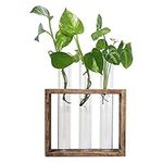 laffeya Test Tube Planter, Hydropon